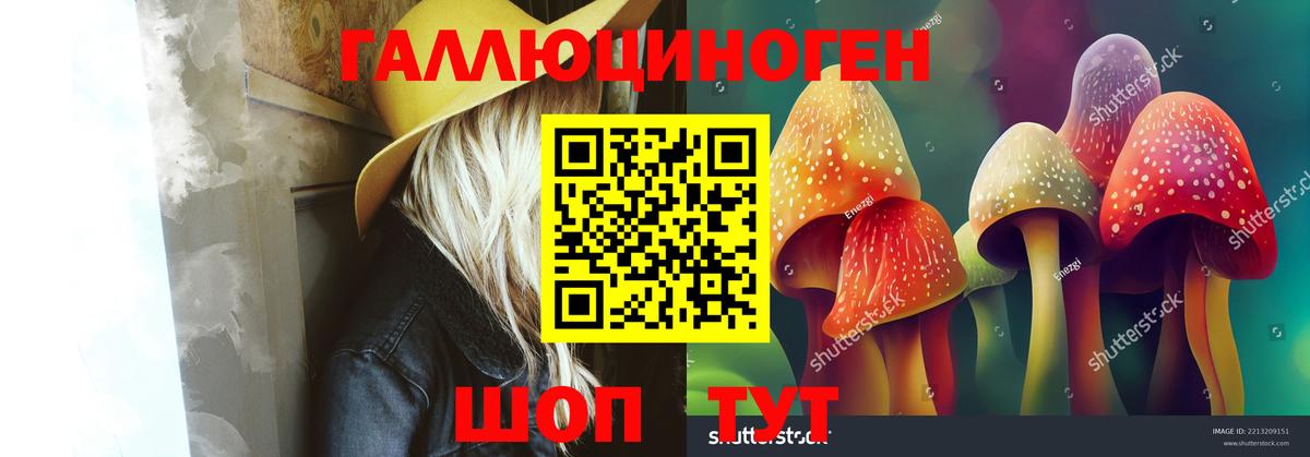 Псилоцибиновые грибы MAGIC MUSHROOMS Усть-Илимск